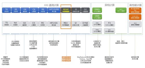 阿里云ECS内存增强型实例re6配置性能分析 信息处理与存储支持服务